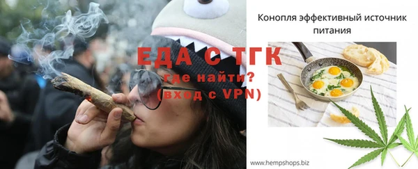 индика Волоколамск