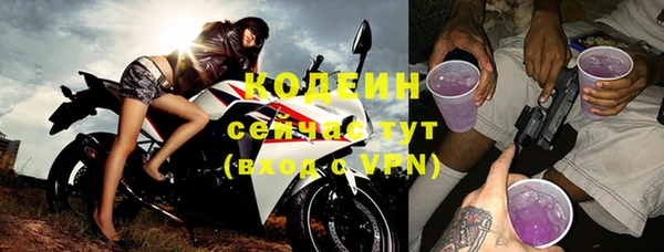 индика Волоколамск
