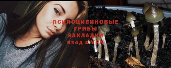 индика Волоколамск