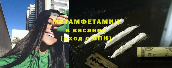 индика Волоколамск