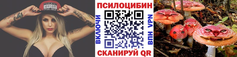 Псилоцибиновые грибы Cubensis цена Павловский Посад